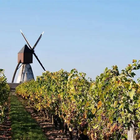 L'ancienne Cave 펜션