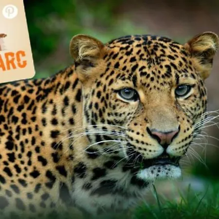 펜션 L'ancienne Cave Princay