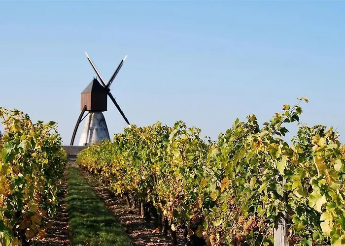 L'ancienne Cave Semesterbostad